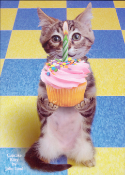 Cupcake Kitty