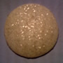 white sparkle cupcake cap